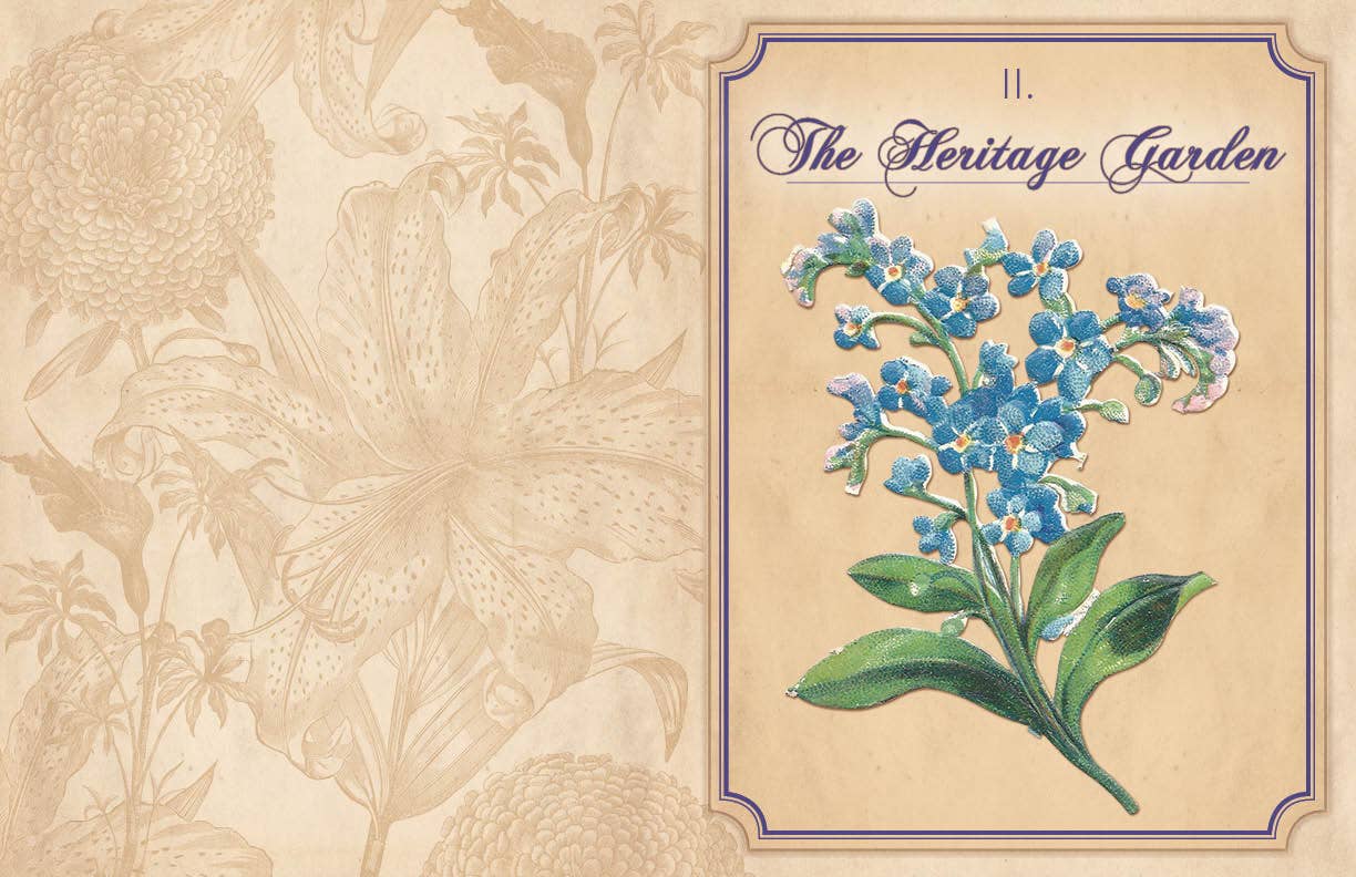 Heritage Gardens, Heirloom Seeds
