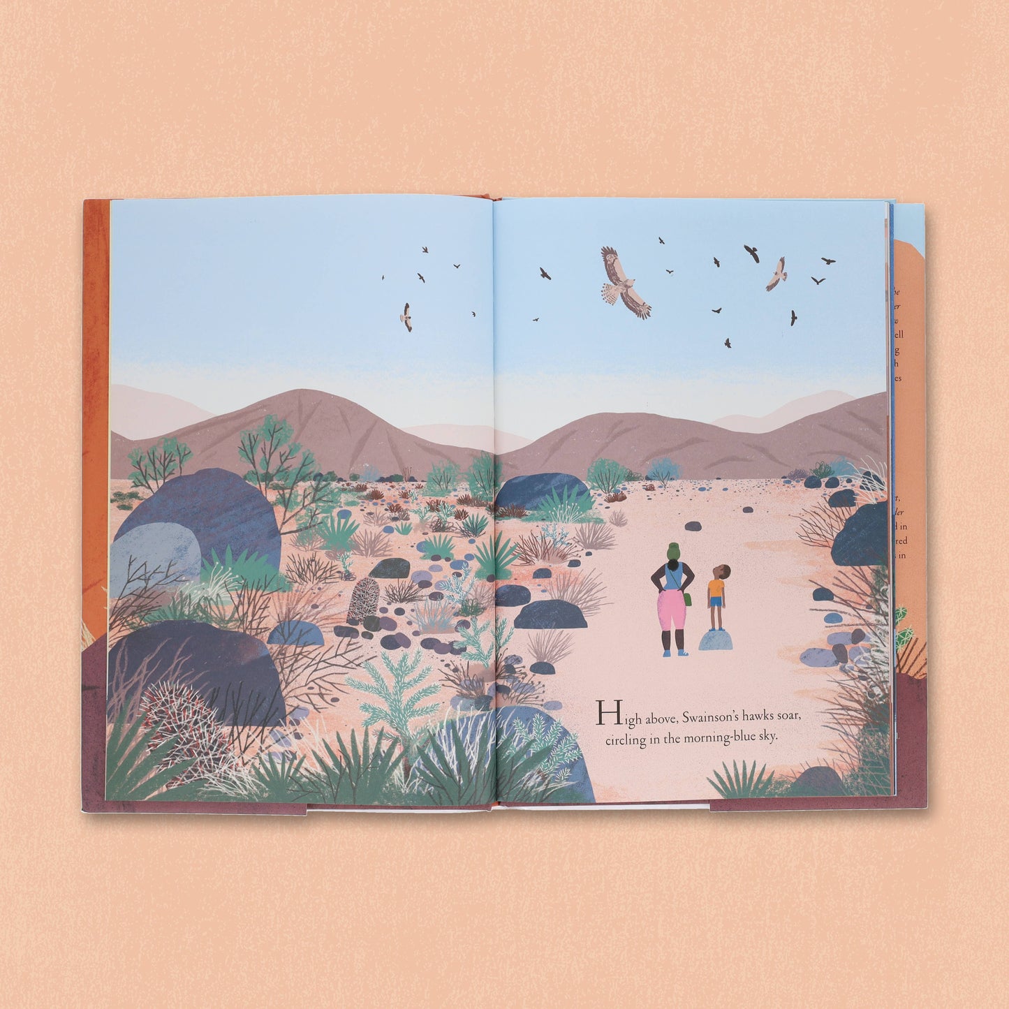 Over and Under the Canyon (Hardcover)