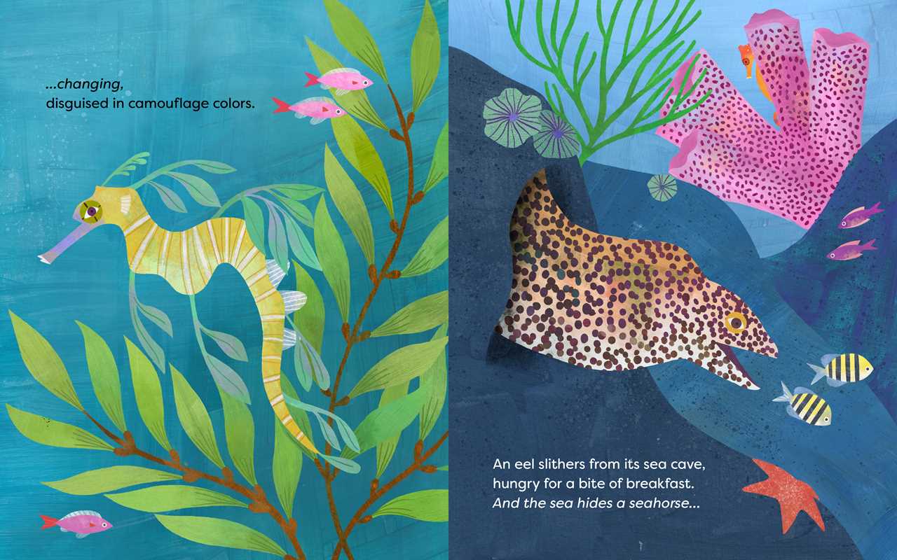 Sea Hides a Seahorse by Sara T. Behrman
