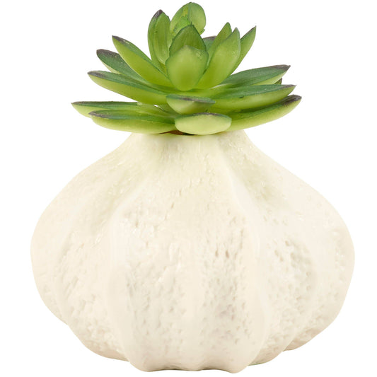 Small Sea Urchin Vase