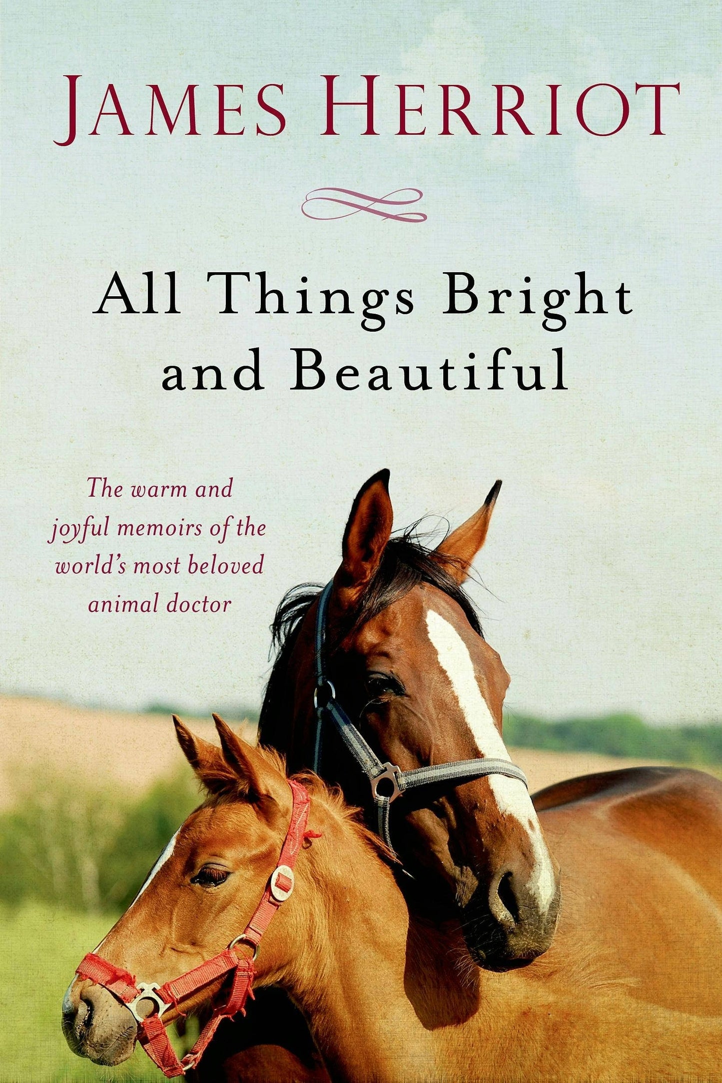 Warm And Joyful Memoirs Of A Beloved Animal Doctor